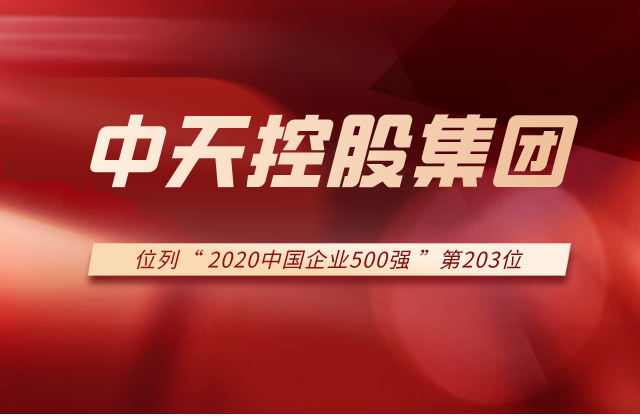 东升国际集团列2020中国企业500强第203位！